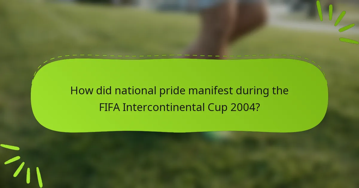 How did national pride manifest during the FIFA Intercontinental Cup 2004?